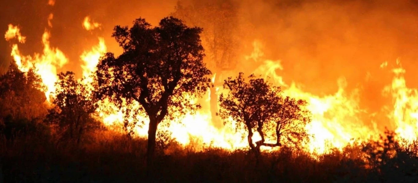 Φωτιές στην Αλγερία: Δεκαοχτώ άνδρες του στρατού έχασαν τη ζωή τους